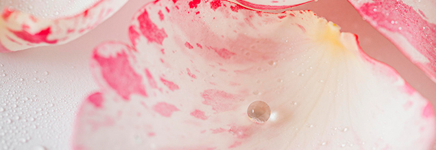 포피 과잉 교정