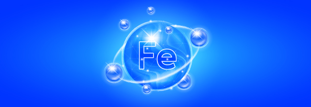 비타민주사 / 철분주사