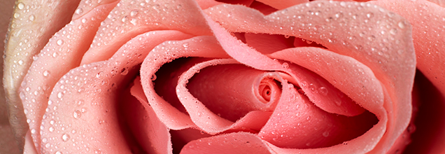 성감 개선 산후회복